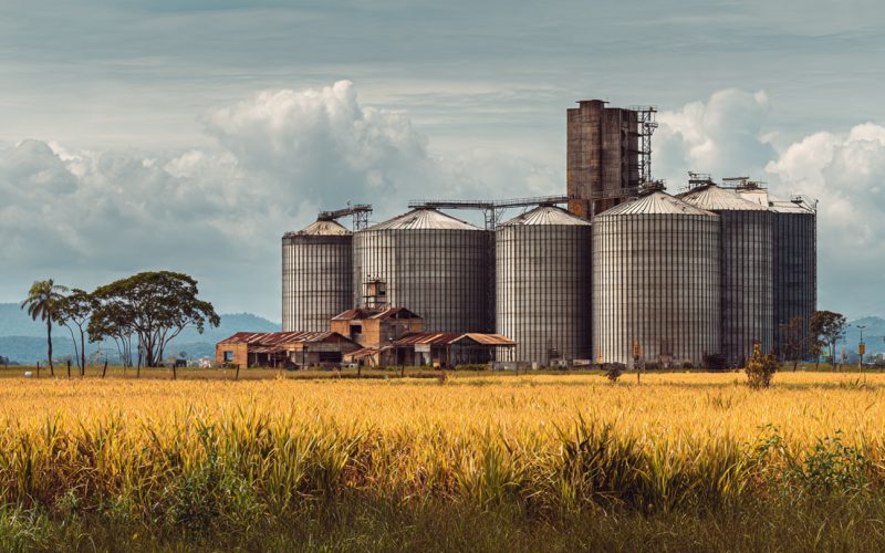 Armazenagem Rural: Como Silos Próprios Podem Multiplicar a Rentabilidade do Produtor