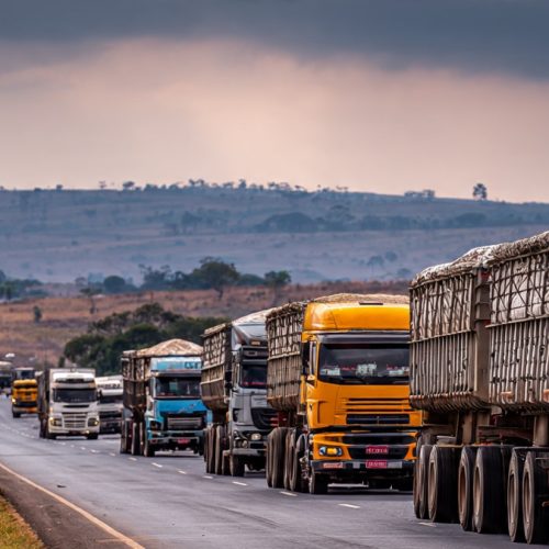 Gargalos Logísticos no Brasil: Como os Desafios da Infraestrutura Impactam o Agronegócio e Elevam o Custo Brasil