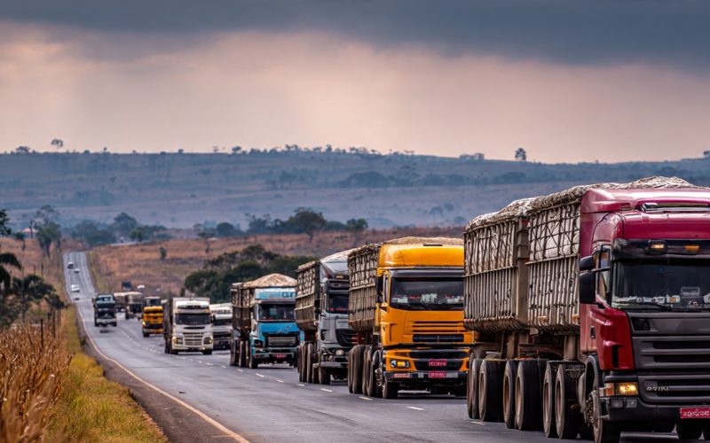 Gargalos Logísticos no Brasil: Como os Desafios da Infraestrutura Impactam o Agronegócio e Elevam o Custo Brasil