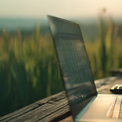 Métodos Formais de Formação de Preço no Agronegócio: Como Garantir Lucro e Sustentabilidade Financeira