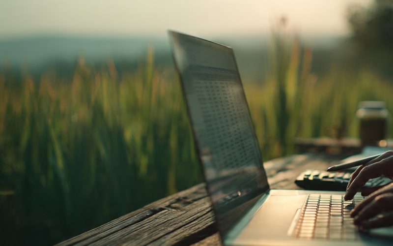 Métodos Formais de Formação de Preço no Agronegócio: Como Garantir Lucro e Sustentabilidade Financeira