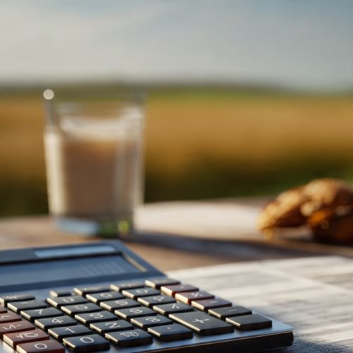 Ponto de Equilíbrio Contábil no Agronegócio: Descubra Quanto Sua Fazenda Precisa Produzir para Não Ter Prejuízo