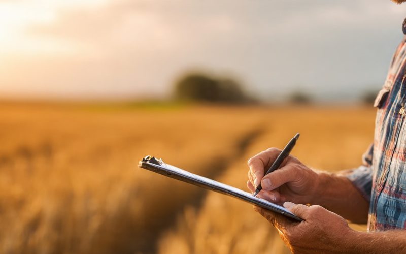 Margem por Fator Limitante e Sistemas de Custeio: A Estratégia que Maximiza o Lucro no Agronegócio