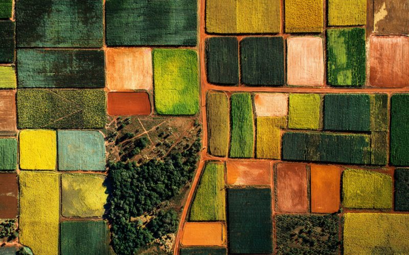 Reforma Agrária no Século XXI: Por Que a Terra Sozinha Não Garante Desenvolvimento no Campo