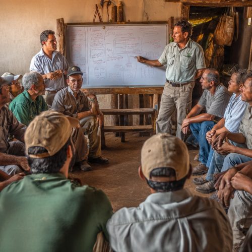 Gestão e Liderança no Agro: Como Transformar Equipes, Reduzir Conflitos e Aumentar Resultados no Campo