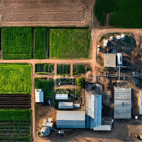Fluxo de Caixa Descontado no Agronegócio: Como Avaliar Fazendas e Projetos com Precisão Estratégica