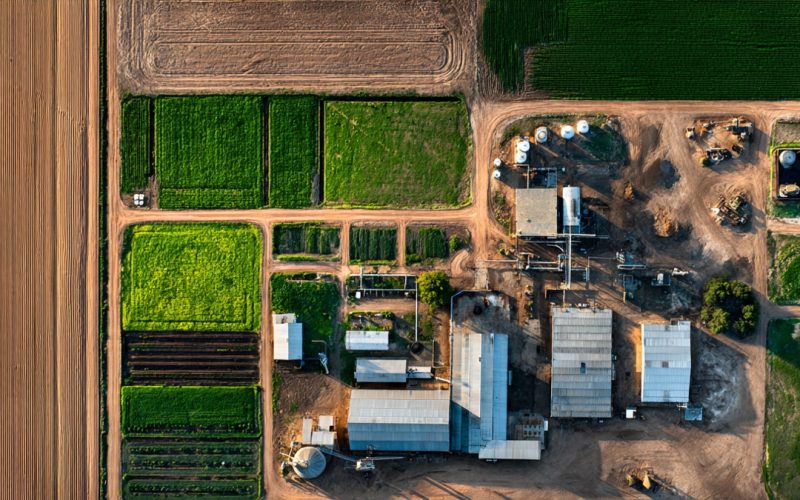 Fluxo de Caixa Descontado no Agronegócio: Como Avaliar Fazendas e Projetos com Precisão Estratégica
