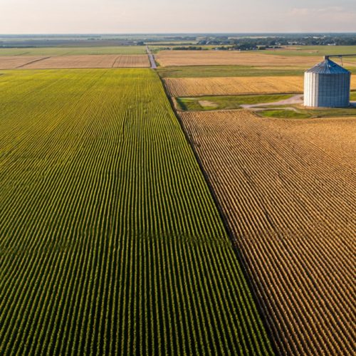 Análise de Estruturas Diferenciadas no Agronegócio: Como Simular Cenários e Proteger a Rentabilidade da Fazenda