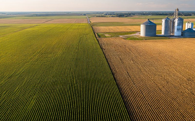 Análise de Estruturas Diferenciadas no Agronegócio: Como Simular Cenários e Proteger a Rentabilidade da Fazenda