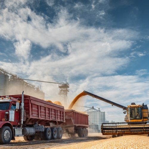 Cadeias Produtivas do Agronegócio Brasileiro: Como Gestão, Tecnologia e Inovação Estão Transformando o Campo