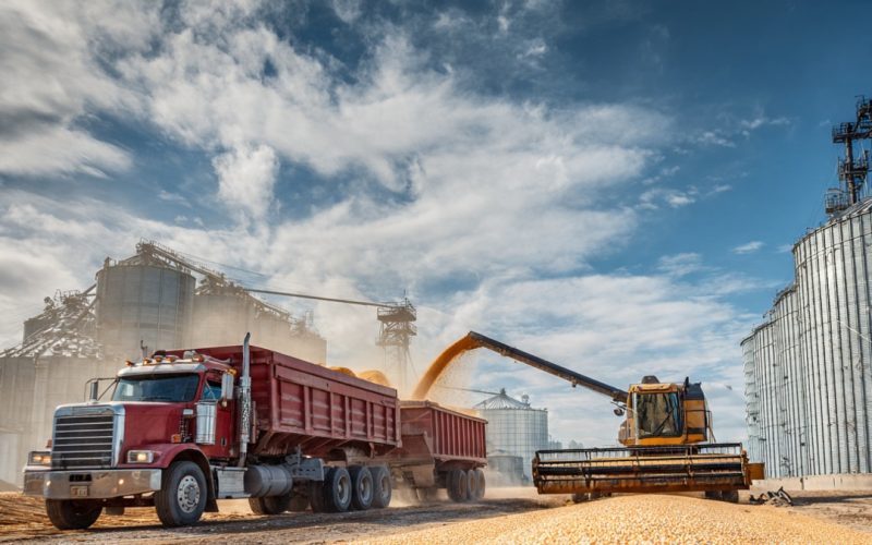 Cadeias Produtivas do Agronegócio Brasileiro: Como Gestão, Tecnologia e Inovação Estão Transformando o Campo
