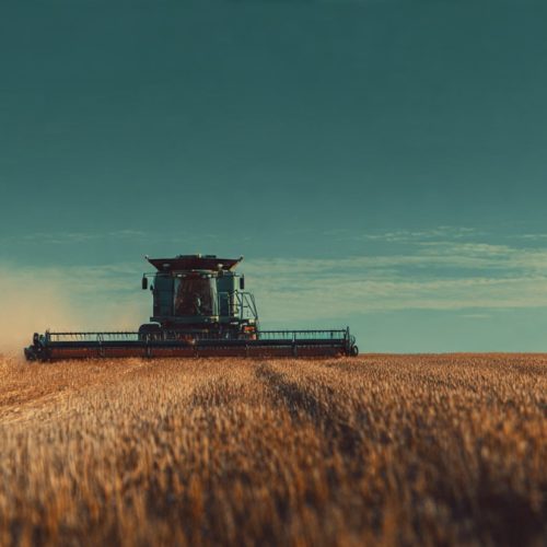 Gestão e Inteligência Tributária no Agronegócio: Como Reduzir Impostos e Aumentar a Rentabilidade Rural