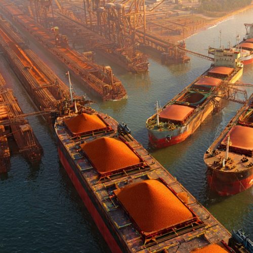 Preço da Soja Vai Subir? Entenda Por Que o Mercado Repete o Mesmo Erro Todos os Anos