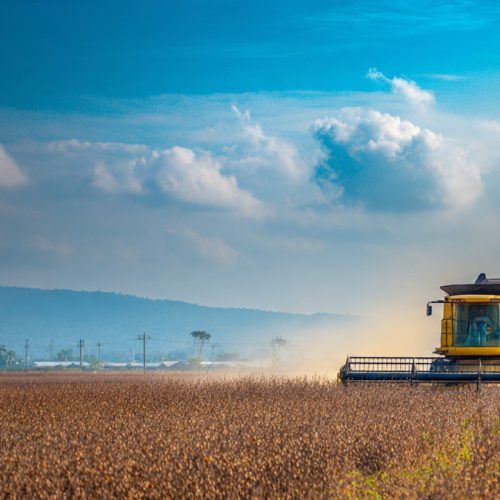 Inspeção de Soja para a China: Novas Regras Podem Impactar Exportações do Brasil e Exigem Estratégia no Agronegócio