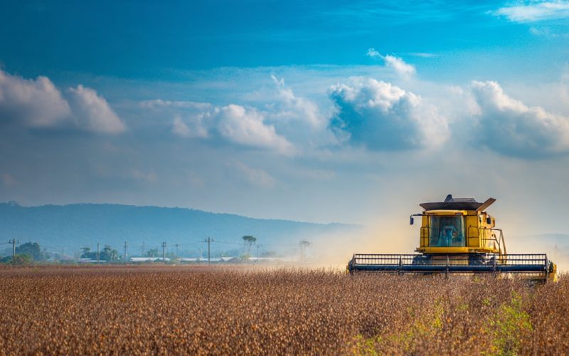 Inspeção de Soja para a China: Novas Regras Podem Impactar Exportações do Brasil e Exigem Estratégia no Agronegócio