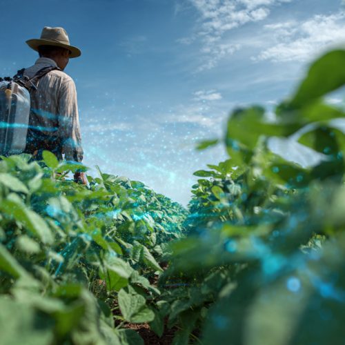Mercado de Biológicos no Brasil: Por Que Essa Tecnologia Está Revolucionando o Agro e Crescendo Acima da Média Global