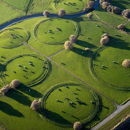 Nova Zelândia: O Segredo do Agro Mais Lucrativo do Mundo.