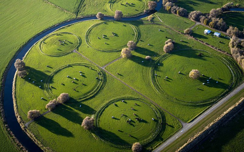 Nova Zelândia: O Segredo do Agro Mais Lucrativo do Mundo.