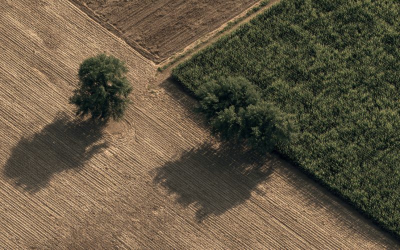 Plantio Direto: A Tecnologia Sustentável Que Fez o Brasil Produzir Mais Sem Desmatar