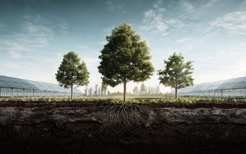 Agricultura Regenerativa e ESG: Como Produzir Mais, Recuperar o Meio Ambiente e Lucrar no Novo Agro Sustentável