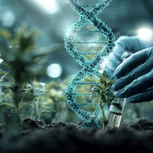 As 10 Tecnologias Mais Impactantes do Agro: O Que Está Transformando o Agronegócio Agora e no Futuro