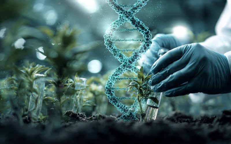 As 10 Tecnologias Mais Impactantes do Agro: O Que Está Transformando o Agronegócio Agora e no Futuro