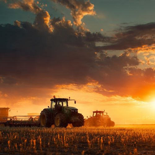 Como Calcular o Lucro na Agricultura e Tomar Decisões Mais Inteligentes no Agro