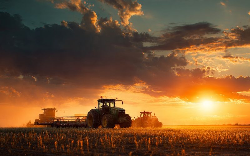 Como Calcular o Lucro na Agricultura e Tomar Decisões Mais Inteligentes no Agro
