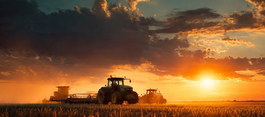 Como Calcular o Lucro na Agricultura e Tomar Decisões Mais Inteligentes no Agro