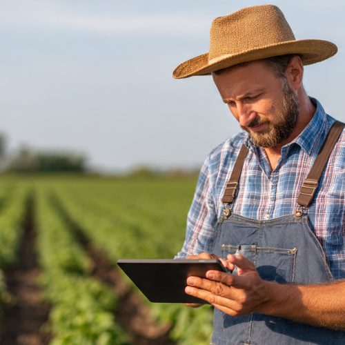 Contabilidade Rural e Ativos Biológicos: Como Mensurar a Riqueza que Cresce no Campo