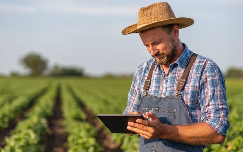 Contabilidade Rural e Ativos Biológicos: Como Mensurar a Riqueza que Cresce no Campo