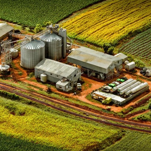 Economia dos Custos de Transação no Agronegócio: O Segredo por Trás da Coordenação e do Lucro no Campo