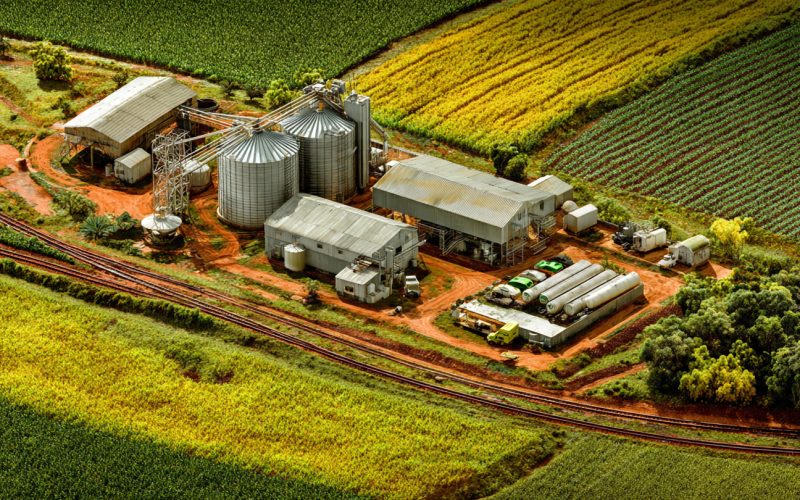 Economia dos Custos de Transação no Agronegócio: O Segredo por Trás da Coordenação e do Lucro no Campo