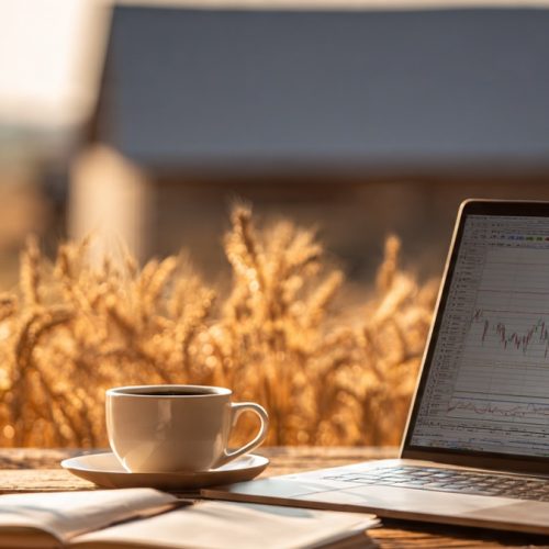 Hedge no Agronegócio: Como Proteger Margens e Transformar Volatilidade em Lucro Consistente