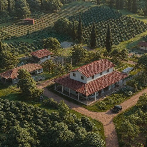 7 Culturas Agrícolas Mais Lucrativas para Investir (Mesmo em Pequenas Áreas).