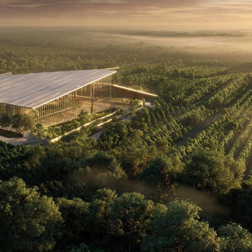 Agro Sustentável na Prática: Embalagem 100% Vegetal que Vira Adubo Revoluciona o Mercado