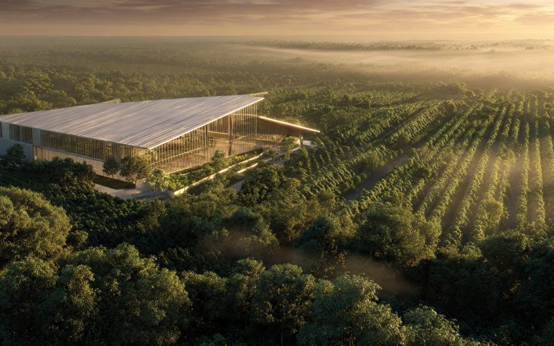 Agro Sustentável na Prática: Embalagem 100% Vegetal que Vira Adubo Revoluciona o Mercado