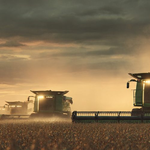 Commodity ou Marca no Agronegócio: Como Escolher a Estratégia Certa e Aumentar sua Rentabilidade