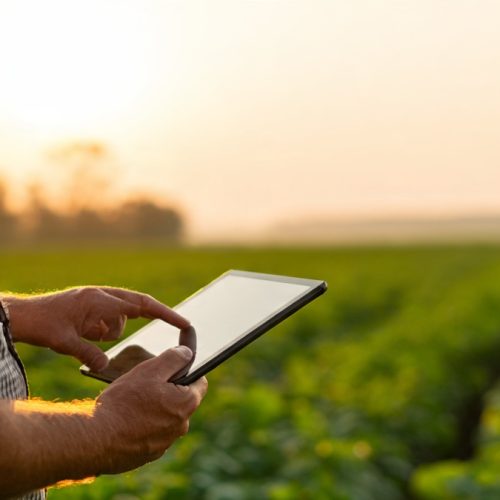 Elasticidade no Agronegócio: Como Usar o Comportamento do Mercado para Lucrar Mais na Safra