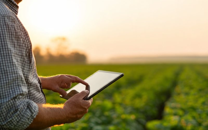 Elasticidade no Agronegócio: Como Usar o Comportamento do Mercado para Lucrar Mais na Safra