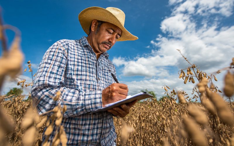 Estruturas de Mercado no Agro: Por Que o Produtor Rural Sempre Aperta o Cinto Enquanto os Insumos Mandam no Jogo