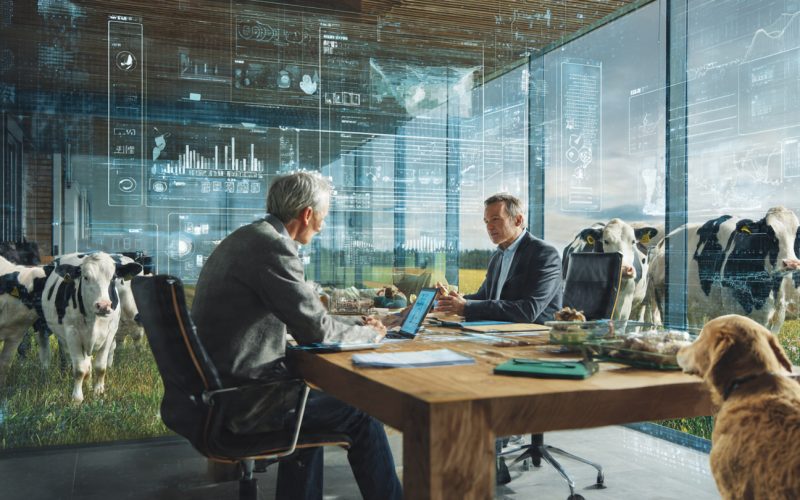 Seguro Rural Obrigatório em 2026?