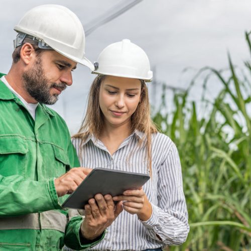 Cana-de-Açúcar em 2030: Como o Setor Sucroenergético Vai Mover Bilhões, Gerar Empregos e Liderar a Economia Verde no Brasil