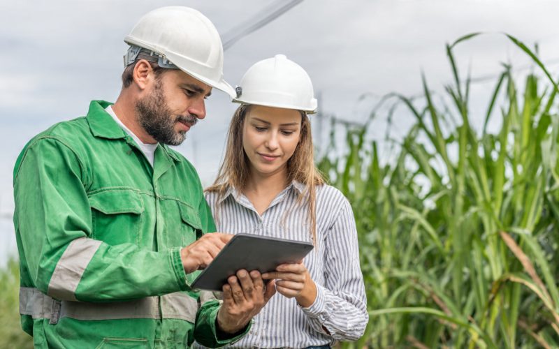Cana-de-Açúcar em 2030: Como o Setor Sucroenergético Vai Mover Bilhões, Gerar Empregos e Liderar a Economia Verde no Brasil