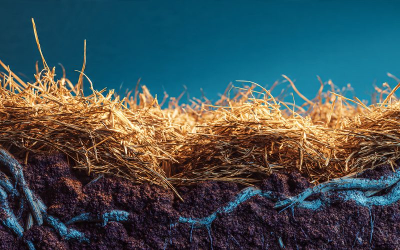 Conservação do Solo e da Água: Práticas Essenciais Para o Agro (Guia Completo)