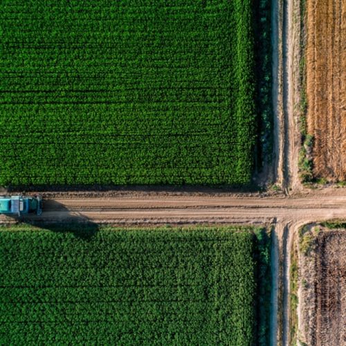 Agronegócio brasileiro: O motor da economia que ainda pode gerar mais lucro no campo