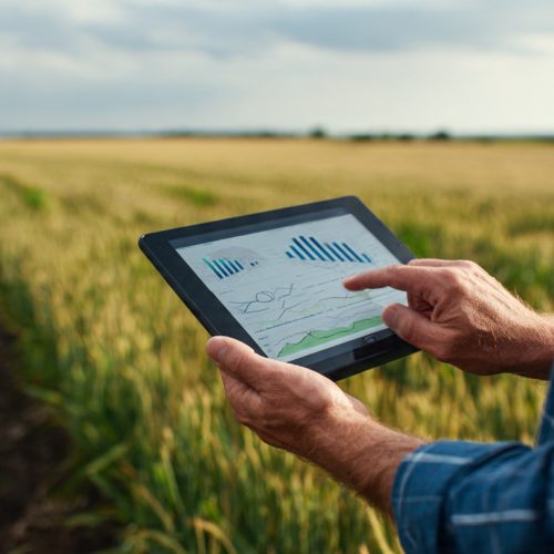 Big data no campo: 7 decisões que aumentam margem e reduzem custos