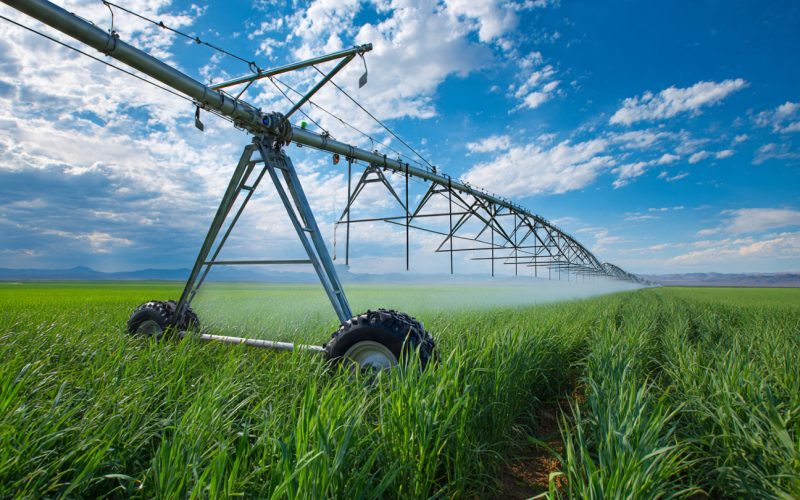 Irrigação no Campo: A Inovação que Está Transformando a Produtividade e Garantindo Safras Mais Seguras