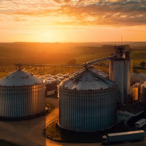 Logística no agronegócio: Os gargalos que estão consumindo sua rentabilidade sem você perceber