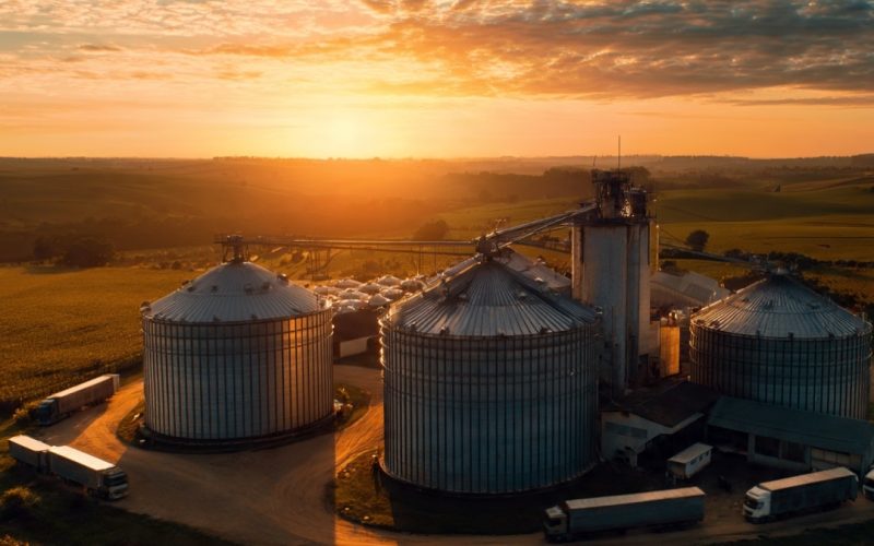 Logística no agronegócio: Os gargalos que estão consumindo sua rentabilidade sem você perceber